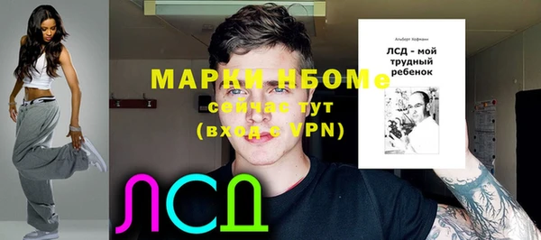 стаф Арсеньев