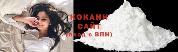 стаф Арсеньев