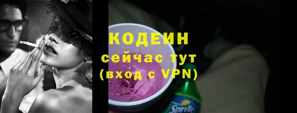 стаф Арсеньев