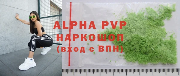 стаф Арсеньев