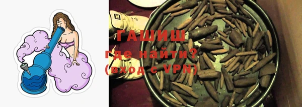 стаф Арсеньев