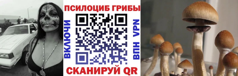 Псилоцибиновые грибы мицелий  Лобня 